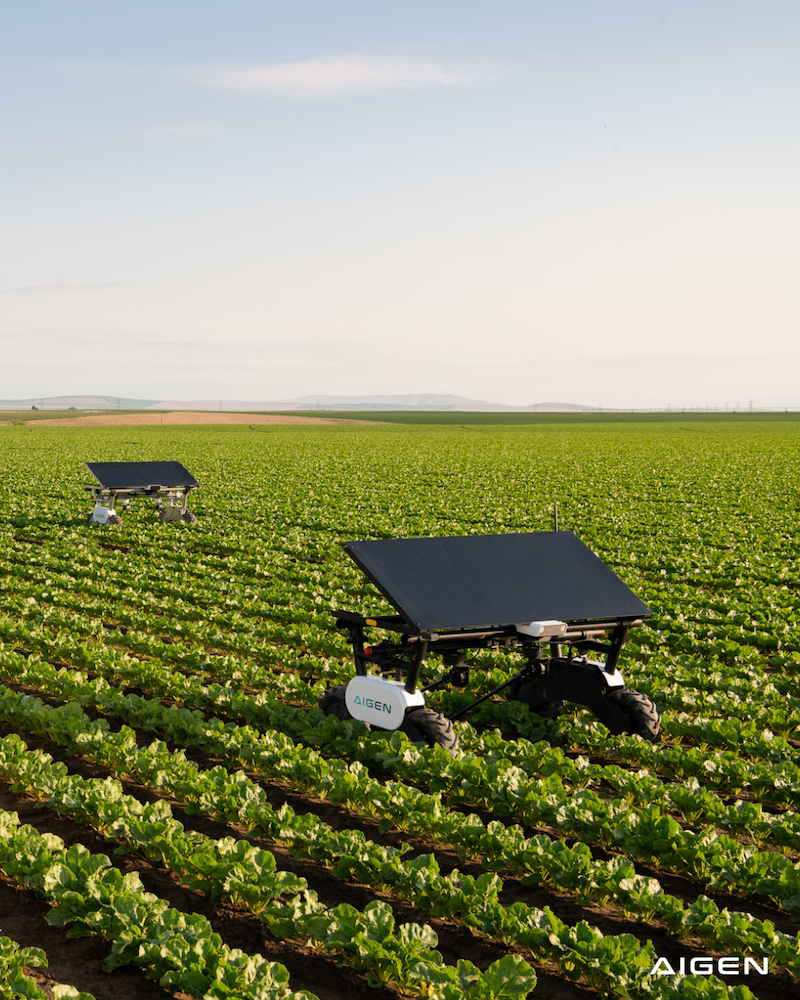 UK’s £6.3 million boost turns Lincolnshire into a test‑bed for next‑gen farm robots