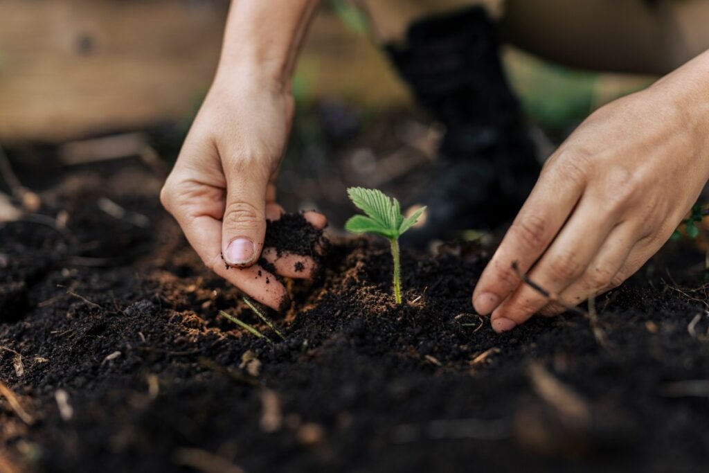 The World’s New Agronomists are AI Agents | Bull Source