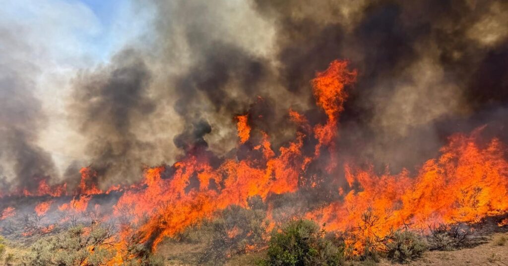 Climate change pushed Earth to its limits in 2026 as certain "vital ...