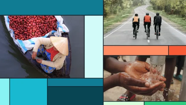 Global Burden of Disease (GBD)