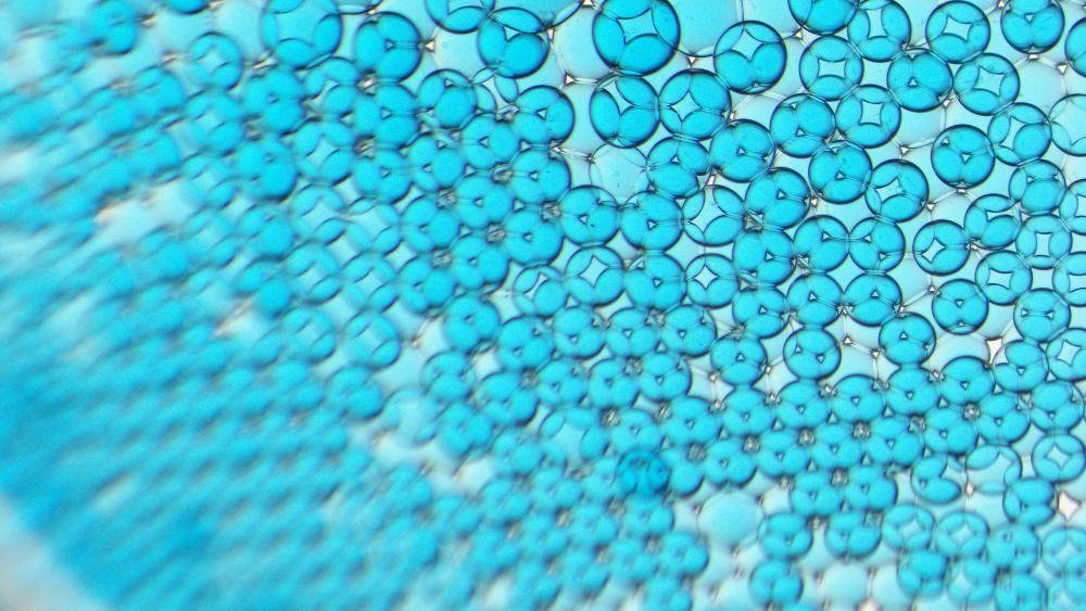 Tiny droplets can form soft networks for brain-inspired computing ...