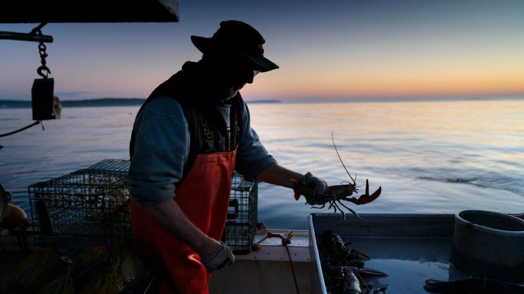 Supreme Court Declines to Hear the Case of a Lobster Fisherman ...